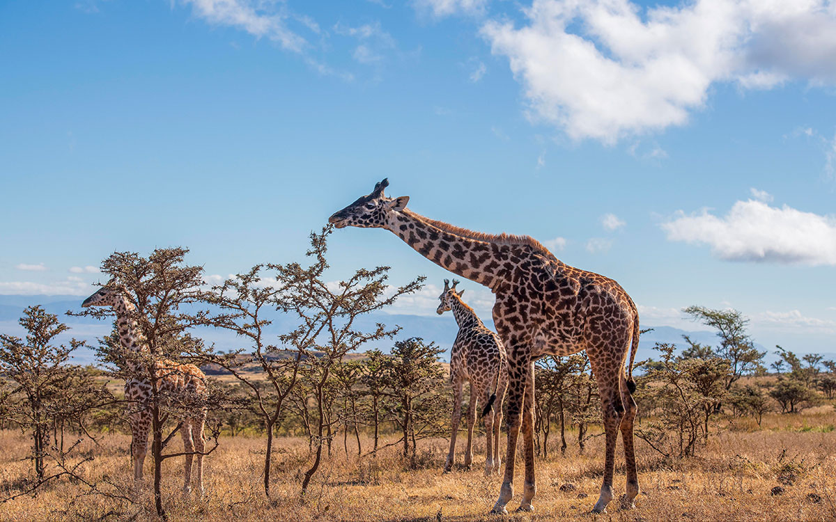 livingmag-viajes-tanzania-02